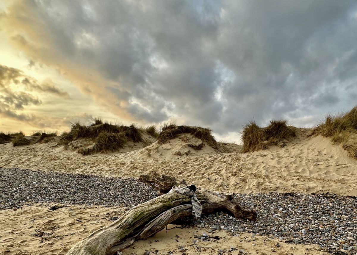 Cranbourne Walberswick