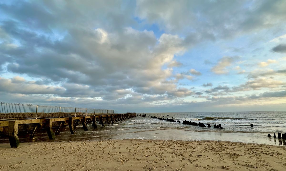 Cranbourne Walberswick