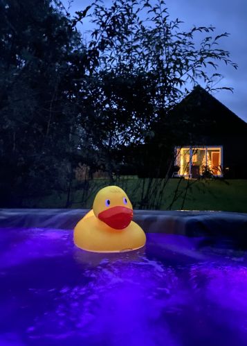 View from the Jacuzzi Hot Tub