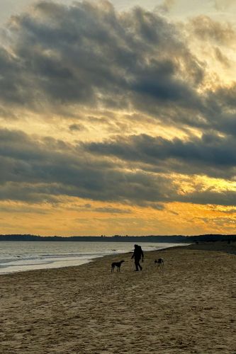 Cranbourne Walberswick